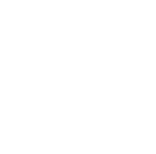 Royal Prince Alfred Hospital logo