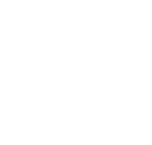 St. Vincent's Hospital logo